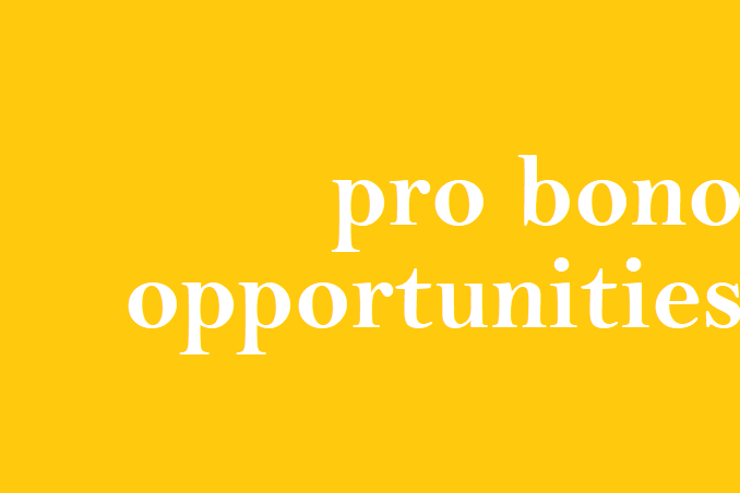 Pro Bono Volunteer Opportunities