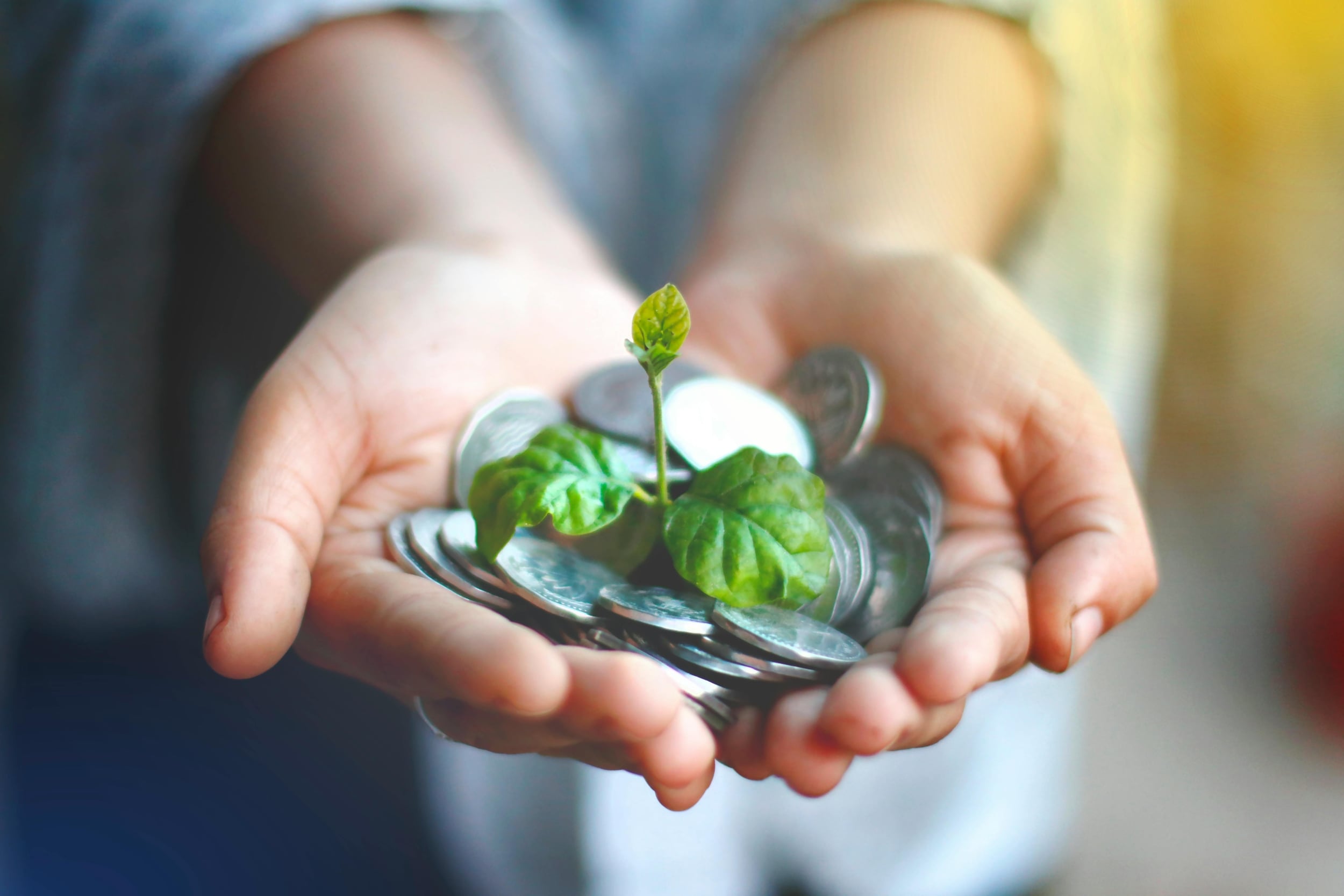 Charitable giving - image hands filled with coins and holding a sprouting plant